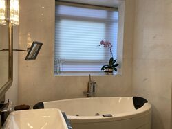 Ardmore Park (D10), Condominium #368208841
